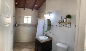 a bathroom with a sink and a toilet and a mirror at Casa Xantus in Toros Pintos +34 photos