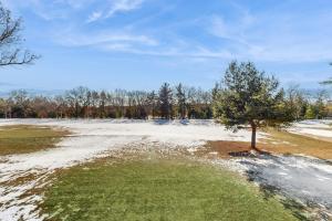 a tree in the middle of a field with snow at Sunset Condominiums: Golf View in Arkdale