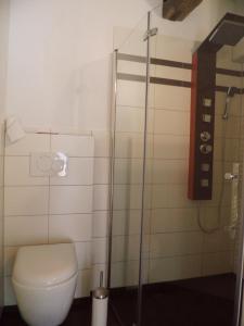 a bathroom with a toilet and a shower at Ferienwohnung Dähne in Allagen