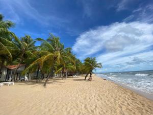 a sandy beach with palm trees and the ocean at Beachfront Bungalow Cuu Long in Phú Quốc