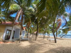 a house on the beach with palm trees at Beachfront Bungalow Cuu Long in Phú Quốc