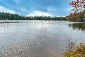 a large body of water with trees in the background at Little Red Lakeside Cabin in Three Lakes