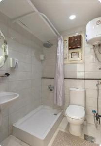 a bathroom with a toilet and a sink at Luxurious Beachfront Apartment in Alexandria +19 photos