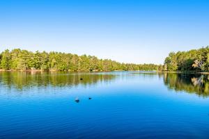 a large blue lake with trees in the background at Northwoods Paradise in Eagle River