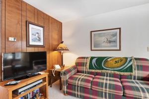 a living room with a couch and a television at Cleerwood Village #252 in Eagle River