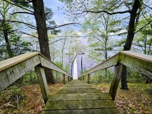 a wooden bridge in the middle of a forest at Peaceful Pines in New Rome