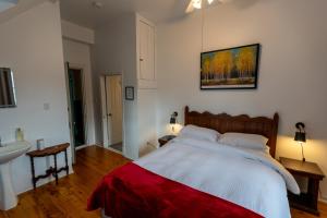 a bedroom with a large bed and a sink at Aux petits oiseaux in Baie-Saint-Paul