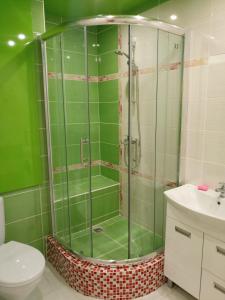 ヤロスラヴリにあるApartment on Bogdanovicha 8の緑豊かなバスルーム(シャワー、トイレ付)