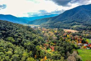 an autumn view of a mountain valley with trees at Ovens River Retreat in Harrietville