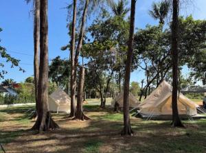 a group of tents in a field with trees at Koala Glamping Krabi in Krabi