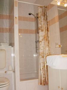 a bathroom with a shower curtain and a toilet at Gaestehaus Rehbein in Calbe