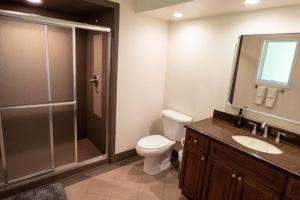 a bathroom with a shower and a toilet and a sink at Modernist Lakefront Sojourn in Monticello +18 photos