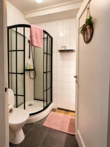 a bathroom with a shower and a toilet at Aurora Apartament in Borgarnes