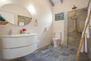 a bathroom with a toilet and a sink and a mirror at La Villa de Solange - Azur in La Trinité