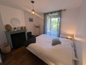 a bedroom with a large white bed and a fireplace at L'ecole buissonnière in Riaucourt