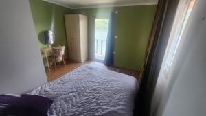 a bedroom with a bed in a room with a window at Kuca za odmor Labud in Donji Milanovac