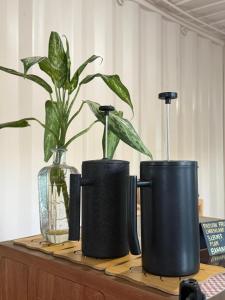 three black vases sitting on a wooden table with plants at Hotel Marea in San Juan del Sur