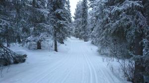 Lapland Snow Cabin v zimě