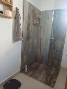 a bathroom with a shower with a glass door at SsaZza in Râmnicu Vâlcea