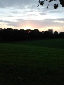 a green field with the sun setting in the distance at Caruso Pension und Pizzeria in Salzweg