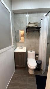 a bathroom with a toilet and a sink at Beit Shalom habitaciones con clima in Orizaba