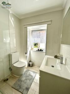 a bathroom with a toilet and a sink and a window at Figueira River House in Bragança +15 photos