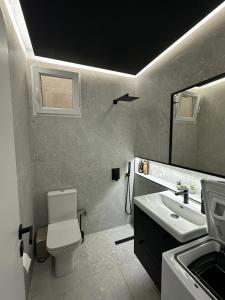 a bathroom with a toilet and a sink and a mirror at 26 Villa Katerina, Elani in Elani +36 photos