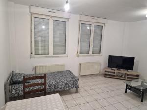 a living room with a couch and a flat screen tv at Appartement 45m2 à Florange in Florange
