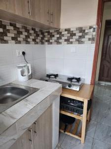 a small kitchen with a sink and a stove at Muthiga Springs in Kikuyu