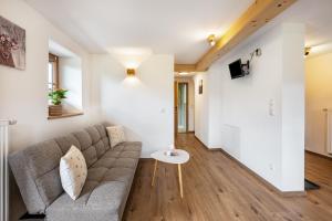 โทรทัศน์และ/หรือระบบความบันเทิงของ Haus Semleiten