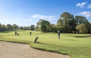 a group of people playing golf on a golf course at Belle Maison À Colombages in La Baroche-sous-Lucé