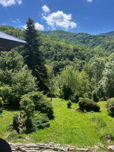 a view of a lush green hillside with trees at Maison SItta in Montferrier