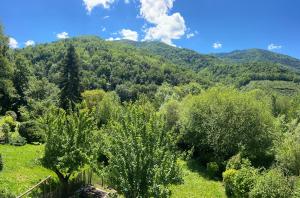 a view of a forest with trees and mountains at Maison SItta in Montferrier