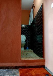 a bathroom with a toilet and a mirror at CHAMBRE LA TERRASSE Nosy-be in Hell-Ville