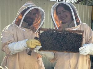 two people dressed in protective gear holding a frame of bees at Bee Planet Garni in Garni