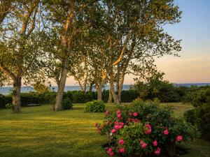 a group of trees and pink flowers in a park at Ferienhaus Klenterdeel in Keitum