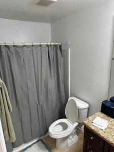 a bathroom with a toilet and a shower curtain at A cozy room with double bed in semi shared Flat in Wallisellen