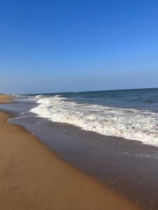 a beach with the ocean and the shoreline at Koovathur Ecr beach house in Kūvattūr