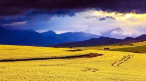 Fotografie z fotogalerie ubytování Zamar Guest House v destinaci Caledon