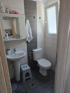 a small bathroom with a toilet and a sink at Vlad's Apartments in Larisa +4 photos