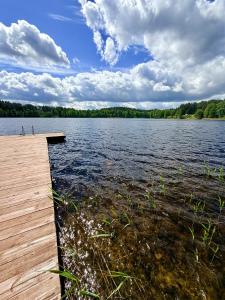 a dock on a lake with trees in the background at Lake Lodge Labanoras in Šnioriškės