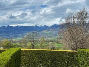 a hedge fence with snow covered mountains in the background at Casa Adosada en Alp Jardin y Wifi in Alp
