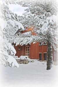 eine Holzhütte im Schnee mit einem Baum in der Unterkunft Vikendica Pahuljica in Risovac