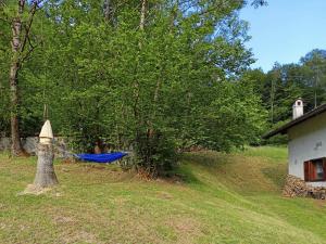 a blue hammock tied to a tree in a yard at Casa Davide Valdaone in Daone