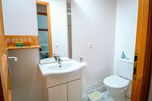 a bathroom with a sink and a toilet at Gîte de caractère - La Grangette in Saint-Julien-le-Faucon +17 photos