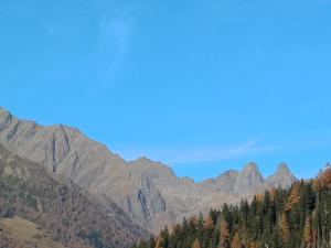 a view of a mountain range with trees and mountains at Chalets Dolomiti living in Vergein