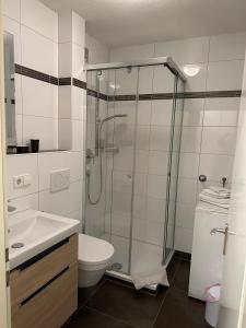 a bathroom with a shower and a toilet and a sink at Fewo Strandweg Überlingen in Überlingen +4 photos