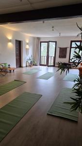 a large room with green mats on the floor at Casa Naya Ibiza in Sant Llorenç de Balafia