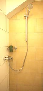 a shower with a shower head in a bathroom at Rose in Überlingen +14 photos