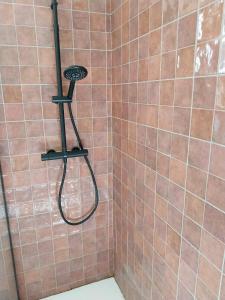 a shower with a shower head in a bathroom at Casa Papaver Casita in Coín +10 photos